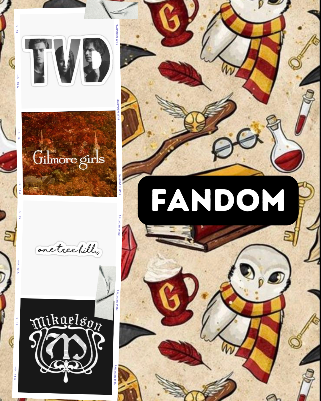 🖤✨📚 Fandom 📚✨🖤